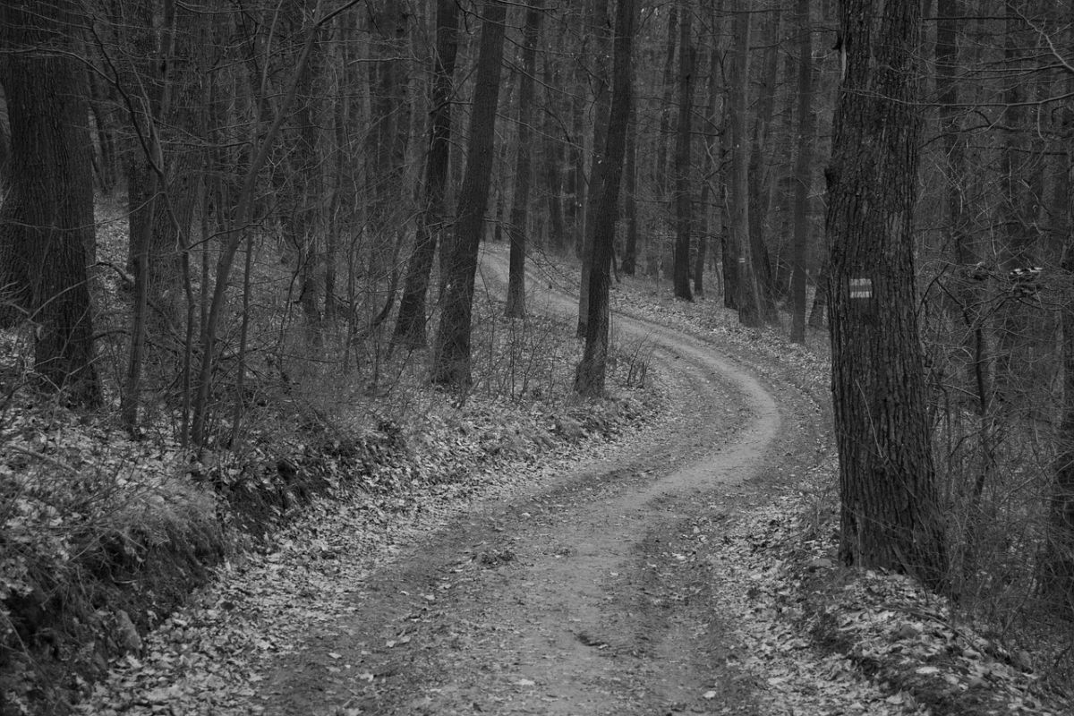 Ultimative Realität & Substanz