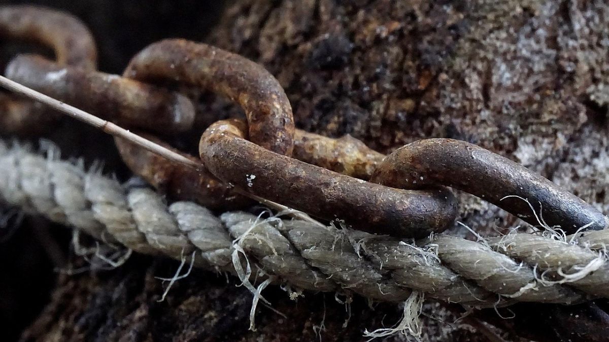 Was verbindet die Evangelikalen?