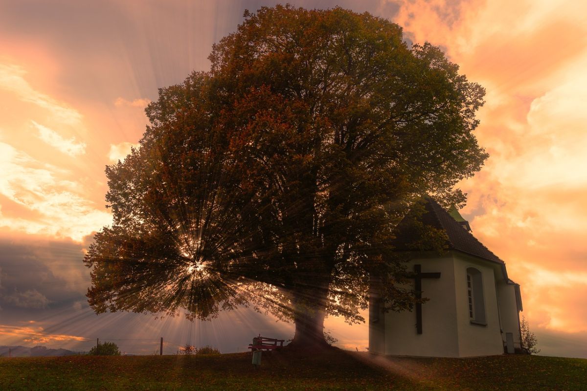Man sieht hier eine Kirche, links seitlich ein großer Baum davor, der von hinten krass durch Sonnenstrahlen durchleuchtet wird. In diesem Blogbeitrag geht es um die Kirche.