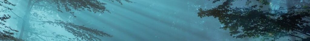 Sonnenstrahlen im Wald von oben einstrahlend.