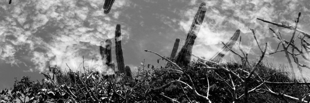 schwarz-weiss Bild, Natur und Wolken - Thema des Blogbeitrags ist Allversöhnung