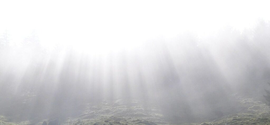 Einstrahlendes Licht von oben - der Artikel beschäftigt sich mit Jesu Auferstehung.