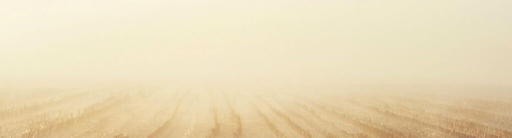 Weiterer Bildausschnitt: Helles Licht über dem Feld. Es geht um das Thema der Auferstehung.