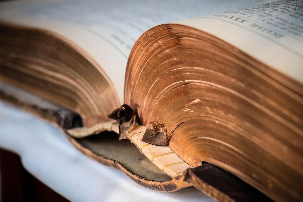 Ist die Bibel unfehlbar?