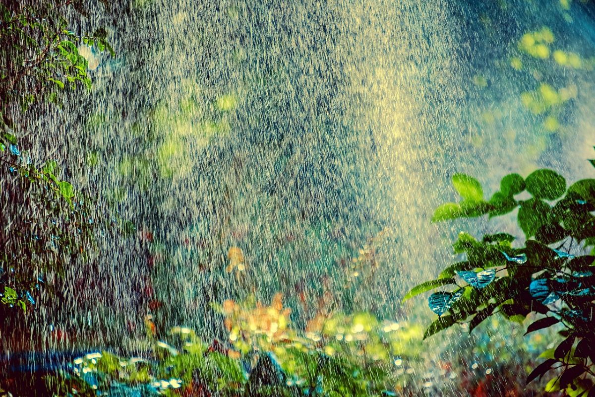 Wasser Regen ergießt sich über den Garten - Blogthema: Kann man die Wahrheit der Schöpfung