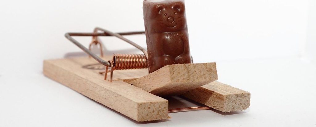 Mausefalle mit Schokolade als Lockmittel